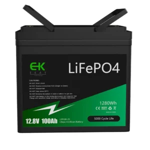 EK EKAY GREEN STORE 12.8V 100Ah LiFePO4 Lithium Battery